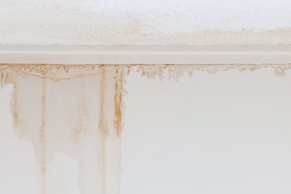 Spot Signs of Water Damage